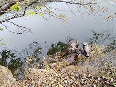 -玉渡山自然风景区