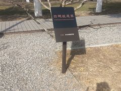 -汉长安城未央宫国家考古遗址公园