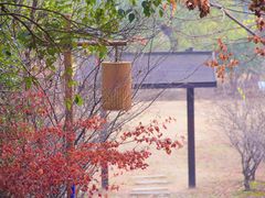 -梁鸿国家湿地公园