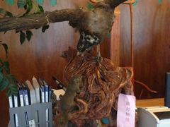 iphone_upload_pic-绿野仙踪·印象(香樟名都店)