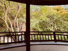 -秋霞圃