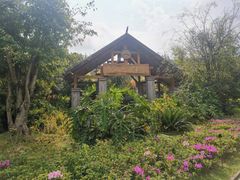 -腾冲洞山温泉村