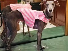 -Legno.ita Coffee by Wood(襄阳南路店)