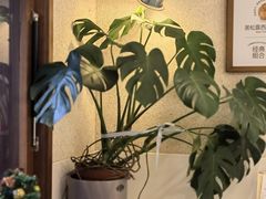 -稻田秋(怡美广场店)