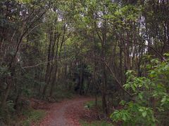 -青龙山国家森林公园