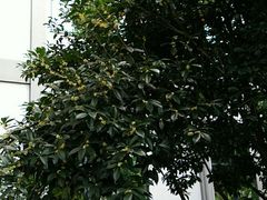 -绍兴鉴湖君澜大酒店