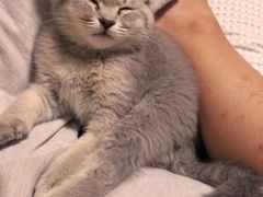 -派特宠物医院(圆融广场店)