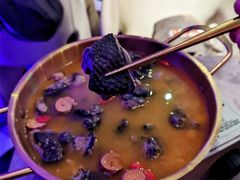 -Darling Queen·Mini·Live·House