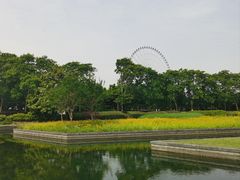 -蠡湖大桥公园