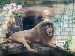 -福州动物园