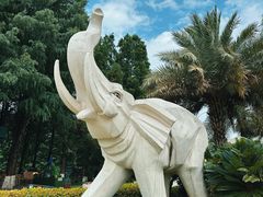 -云南民族村