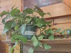 -大清花饺子(山庄店)