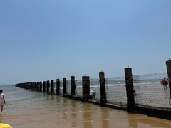 -日照海滨国家森林公园