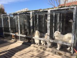 -萌宠亲子动物乐园(槐房万达店)