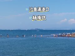 -杨梅坑