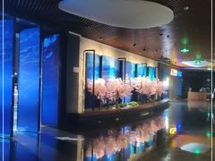 -万达影城IMAX(海口日月广场店)