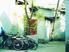 -百花深处胡同