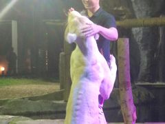 -清迈夜间动物园