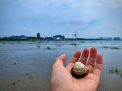 -奉贤海滩