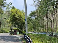 -合肥滨湖国家森林公园