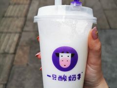 -一只酸奶牛(八一路店)