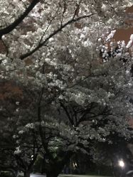 -魅力发型