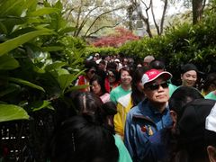 -韶山毛泽东同志故居