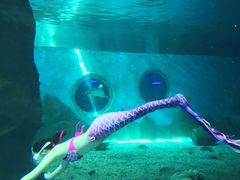 -北戴河圣蓝海洋公园