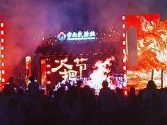 -云南民族村