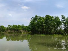 -桤木河湿地公园