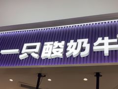 -一只酸奶牛(来福士店)