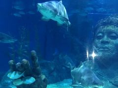 -暹罗海洋世界