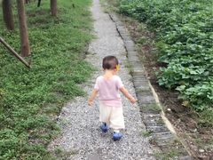 -田园东方蜜桃村的田野营地