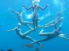 -瑞德姆美人鱼海底演艺主题餐厅(亚龙湾店)