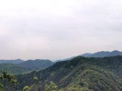 -中国茶叶博物馆(双峰馆区)