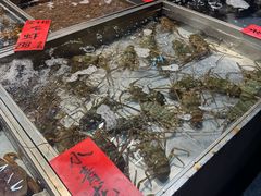 -湛江渔港·大排档(乐园路总店)