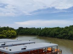 -大湾区中央湿地公园