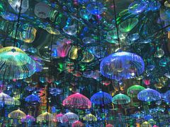 -天津梵高星空艺术馆(天河城旗舰店)