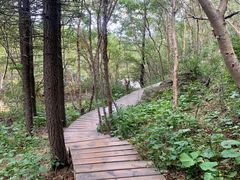 -白草畔自然风景区