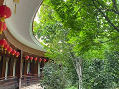-雁南飞茶田景区