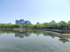 -莲花池公园