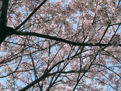 -杨高南路(地铁站)