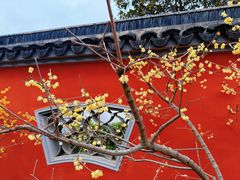 -无锡梅园公园