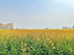 -中国天府农业博览园