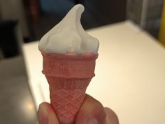 -麦当劳(金狮广场店)