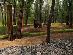 -北京野生动物园