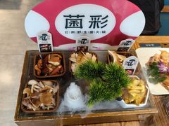-菌彩云南野生菌火锅(新亚洲店)