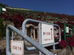 -黄家驹墓