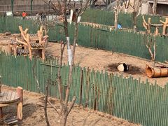 -沈阳森林动物园
