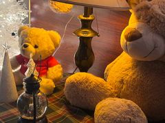 -咖法森林·咖啡  酒吧(天河店)